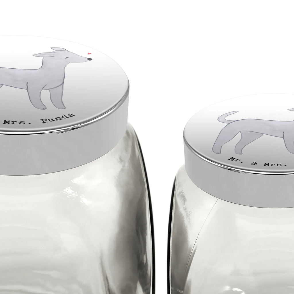 Słoik Leckerli Włoskie dzwonki wiatru ratownik życia Leckerli Dose, Hundeleckerlies Behälter, Leckerli Glas Hund, Leckerli Glas, Leckerli Glas Katze, Hunderasse, Hund, Hundebesitzer, Rassehund, Tierfreund, Geschenk, Welpe, Schenken, Italian Greyhound, Italienisches Windspiel, Windhund