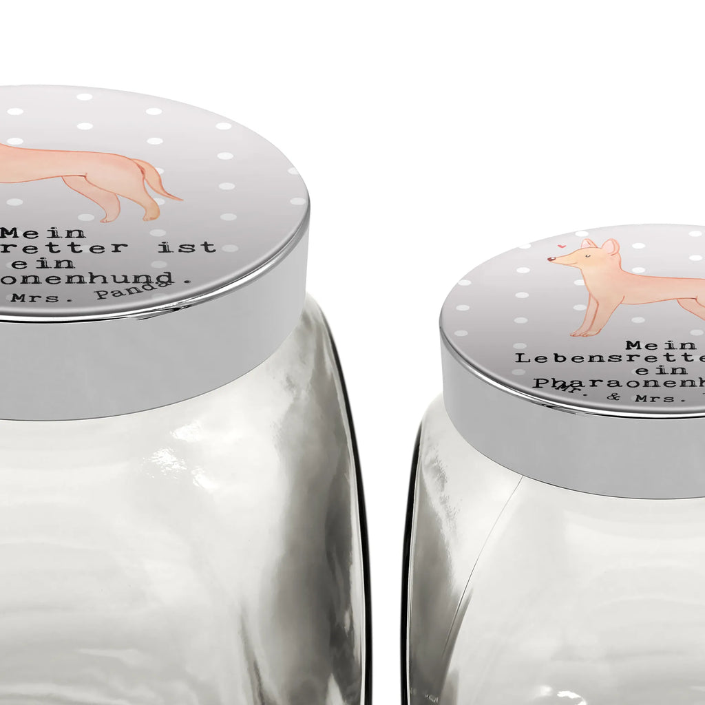 Słoik Leckerli pies faraona Ratownik Leckerli Glas Katze, Leckerli Dose, Leckerli Glas Hund, Hundeleckerlies Behälter, Leckerli Glas, Welpe, Hunderasse, Hundebesitzer, Schenken, Geschenk, Rassehund, Tierfreund, Hund, Pharaoh Hound, Kelb Tal-Fenek, Pharaonenhund