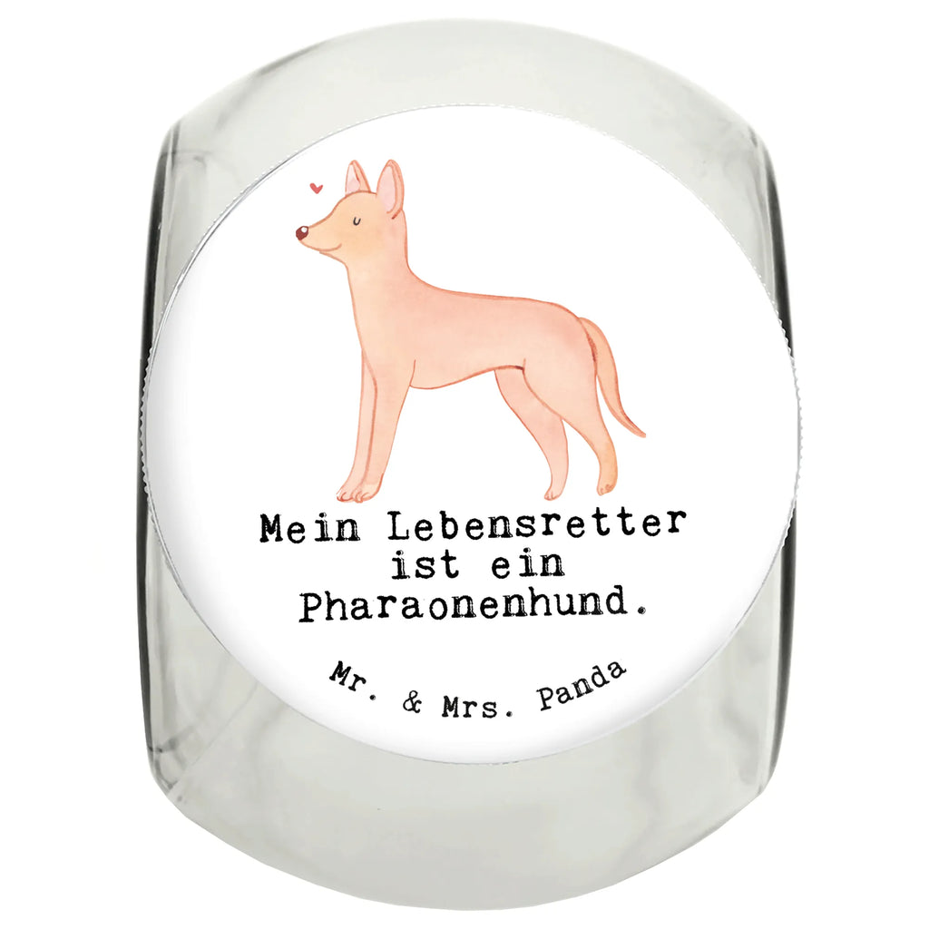 Słoik Leckerli pies faraona Ratownik Leckerli Glas Katze, Leckerli Dose, Leckerli Glas Hund, Hundeleckerlies Behälter, Leckerli Glas, Welpe, Hunderasse, Hundebesitzer, Schenken, Geschenk, Rassehund, Tierfreund, Hund, Pharaoh Hound, Kelb Tal-Fenek, Pharaonenhund