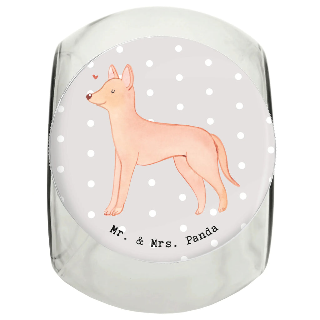 Słoik Leckerli pies faraona Ratownik Leckerli Glas Katze, Leckerli Dose, Leckerli Glas Hund, Hundeleckerlies Behälter, Leckerli Glas, Welpe, Hunderasse, Hundebesitzer, Schenken, Geschenk, Rassehund, Tierfreund, Hund, Pharaoh Hound, Kelb Tal-Fenek, Pharaonenhund