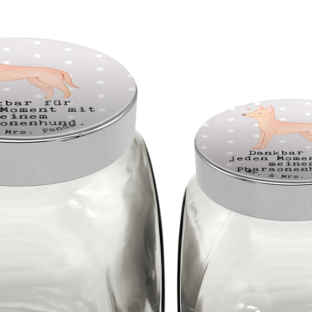 Treat Jar Pharaoh Hound Moment Leckerli Glas Hund, Leckerli Dose, Leckerli Glas, Hundeleckerlies Behälter, Leckerli Glas Katze, Welpe, Hunderasse, Hundebesitzer, Schenken, Geschenk, Rassehund, Tierfreund, Hund, Pharaonenhund, Kelb Tal-Fenek, Pharaoh Hound