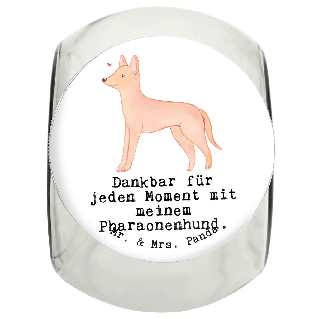 Treat Jar Pharaoh Hound Moment Leckerli Glas Hund, Leckerli Dose, Leckerli Glas, Hundeleckerlies Behälter, Leckerli Glas Katze, Welpe, Hunderasse, Hundebesitzer, Schenken, Geschenk, Rassehund, Tierfreund, Hund, Pharaonenhund, Kelb Tal-Fenek, Pharaoh Hound