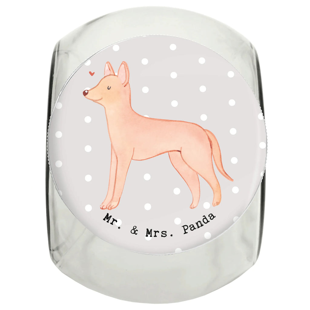 Treat Jar Pharaoh Hound Moment Leckerli Glas Hund, Leckerli Dose, Leckerli Glas, Hundeleckerlies Behälter, Leckerli Glas Katze, Welpe, Hunderasse, Hundebesitzer, Schenken, Geschenk, Rassehund, Tierfreund, Hund, Pharaonenhund, Kelb Tal-Fenek, Pharaoh Hound