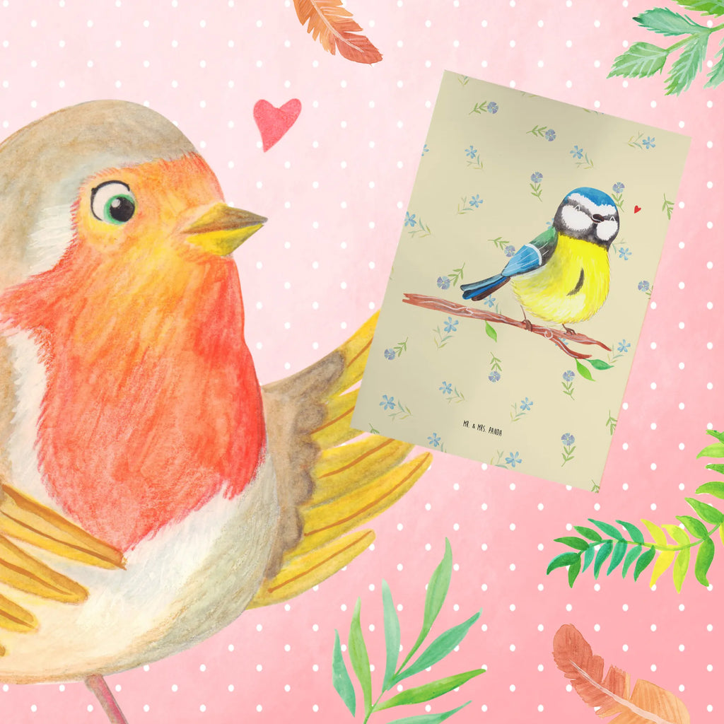 Greetings card Bird blue tit birthday card, invitation card, wedding card, greeting card, folding card, Easter, Easter bunny, blue tit, spring fever, Easter time, Easter greetings, bird, Easter presents, spring, greetings