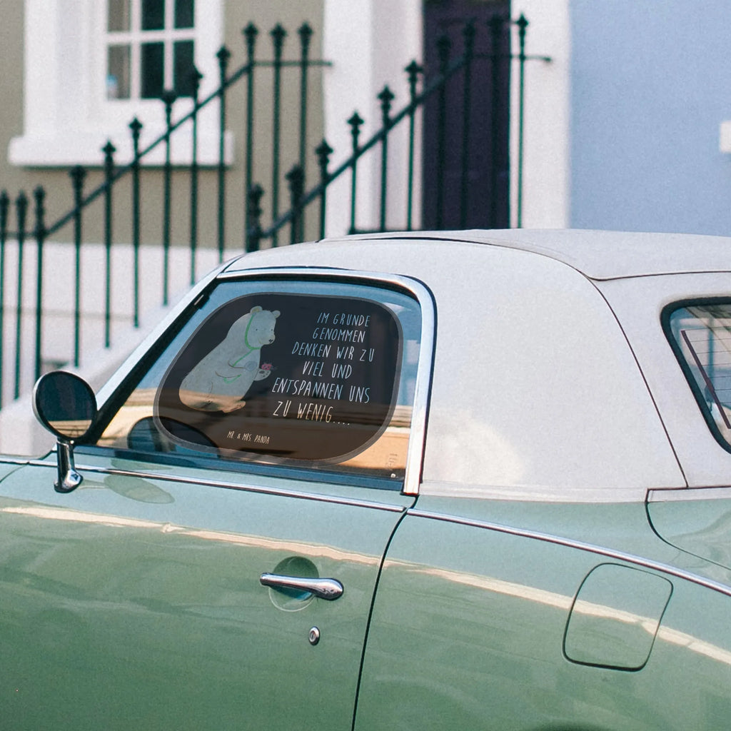 Car sun shade bear Physician car, sun visor, sun protection, children, windows, family, back seat, gift, bear, teddy, teddy bear, cuddly toy, Bear, Doctor, Professor