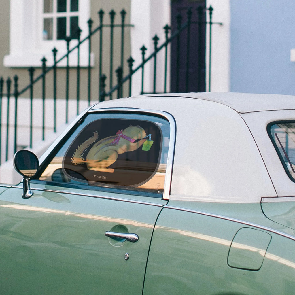 Car sun shade Squirrel smoothies windows, back seat, family, sun protection, gift, sun visor, car, children, small animals, cute, funny, cute animal motives, hand drawn, small world, funny sayings, good mood, happy, gifts, gift ideas, special gifts, animal lover, card, squirrels, diet, weight loss, chipmunks, Green smoothies