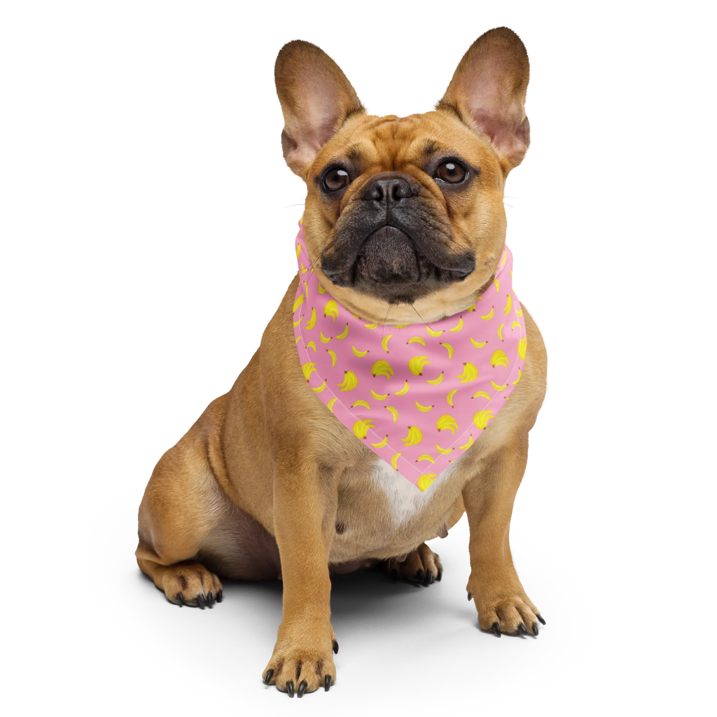 Bandana banany bylina Design Bandana, Bandana, Bandana Tuch, Halstuch, Bandana kaufen, Sport Bandana, Multifunktionstuch, Kopftuch, Sportbandana, Bananen Muster