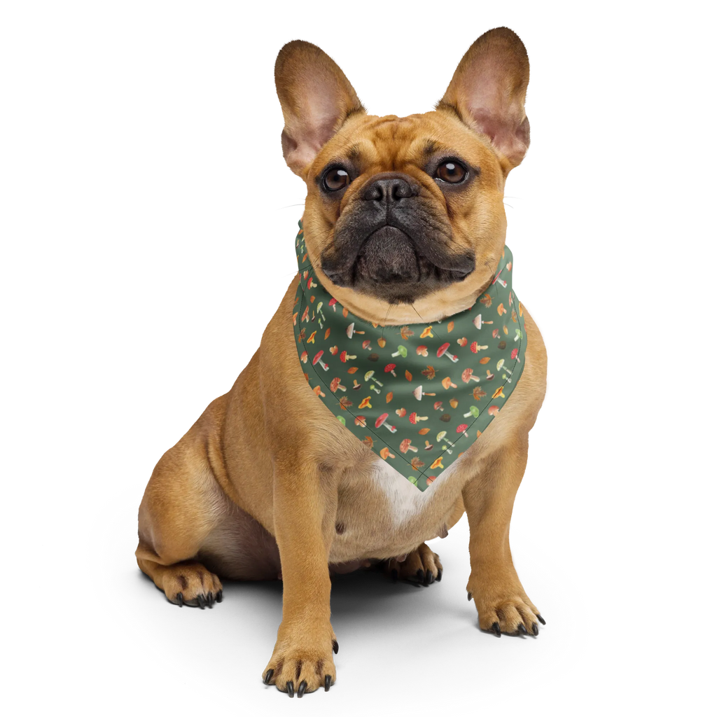 Bandana Grzyb las Multifunktionstuch, Sportbandana, Kopftuch, Bandana kaufen, Design Bandana, Bandana Tuch, Halstuch, Bandana, Sport Bandana, Laub Muster, Wald, Pilz Muster, Pilze