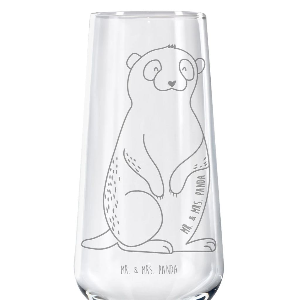 Sparkling wine glass Meerkat Africa, Traveling, Travel, World trip, Meerkat, Africa trip, Saying, Road trip