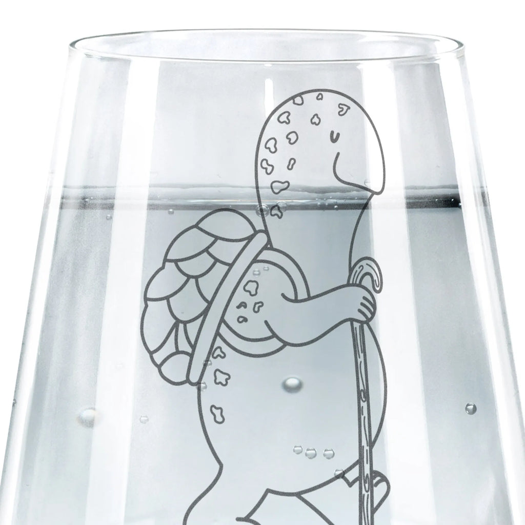 Drinking glass tortoise walker turtle, tortoise, reptile, ancient creature, cute, sweet, gift, gift ideas, birthday gift, illustrated, funny, turtle gift items, funny turtle gifts, pet turtles, mom, best friend, sister or daughter, turtle lover, motivation, turtles, new beginning, motivational slogan