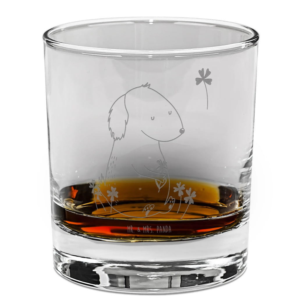 Whiskey Glas Hund Kleeblatt Whiskey Glas mit Gravur, Whiskey Tumbler, Whiskeylgas, Edle Whiskygläser, Whiskeyglas mit Spruch, Whiskyglas mit Gravur, Whiskygläser, Whiskey Glas mit Sprüchen, Whisky Gläser, Gravur Whiskyglas, Whiskey Glas, Hund, Hundemotiv, Haustier, Hunderasse, Tierliebhaber, Hundebesitzer, Sprüche, Glück, Achtsamkeit, Glücksbringer, Neuanfang, Motivation, Tagträume, Geschenk, Selbstliebe, Kleeblatt