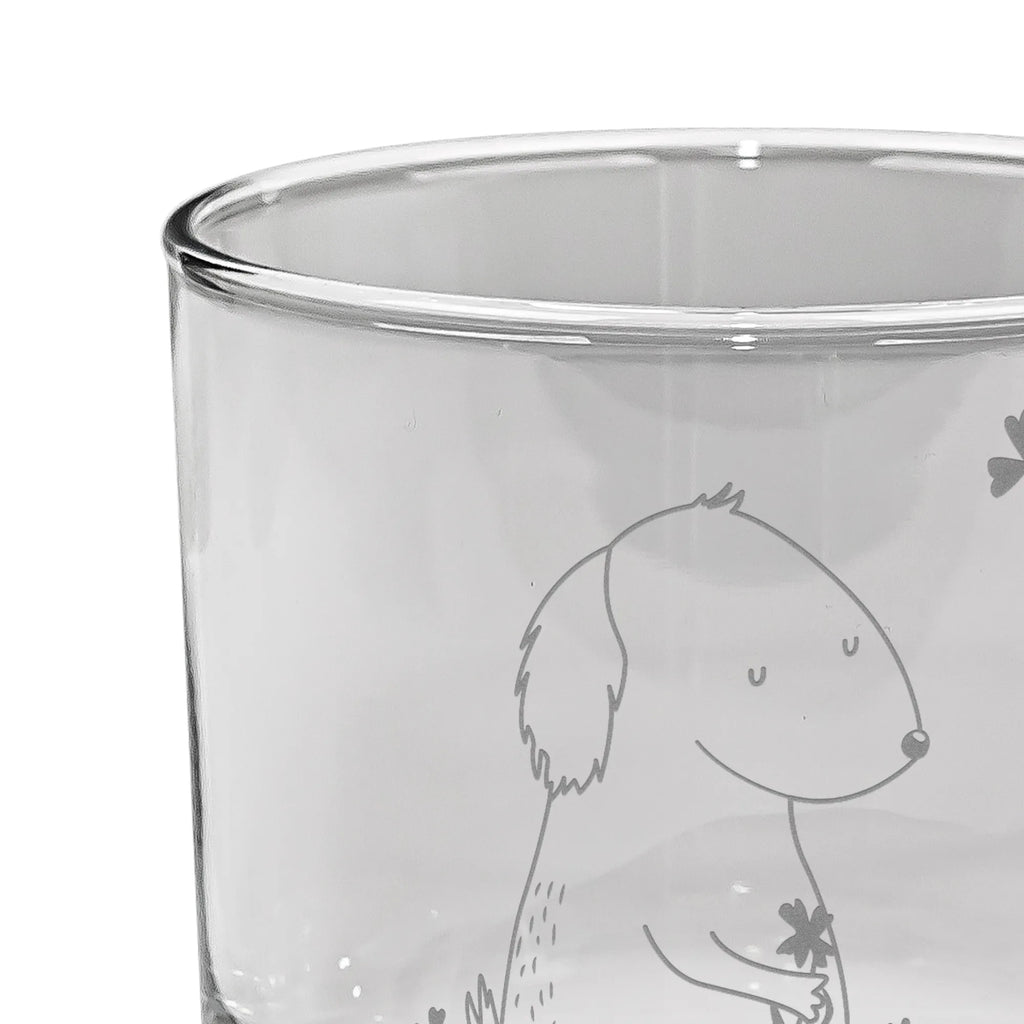 Whiskey Glas Hund Kleeblatt Whiskey Glas mit Gravur, Whiskey Tumbler, Whiskeylgas, Edle Whiskygläser, Whiskeyglas mit Spruch, Whiskyglas mit Gravur, Whiskygläser, Whiskey Glas mit Sprüchen, Whisky Gläser, Gravur Whiskyglas, Whiskey Glas, Hund, Hundemotiv, Haustier, Hunderasse, Tierliebhaber, Hundebesitzer, Sprüche, Glück, Achtsamkeit, Glücksbringer, Neuanfang, Motivation, Tagträume, Geschenk, Selbstliebe, Kleeblatt