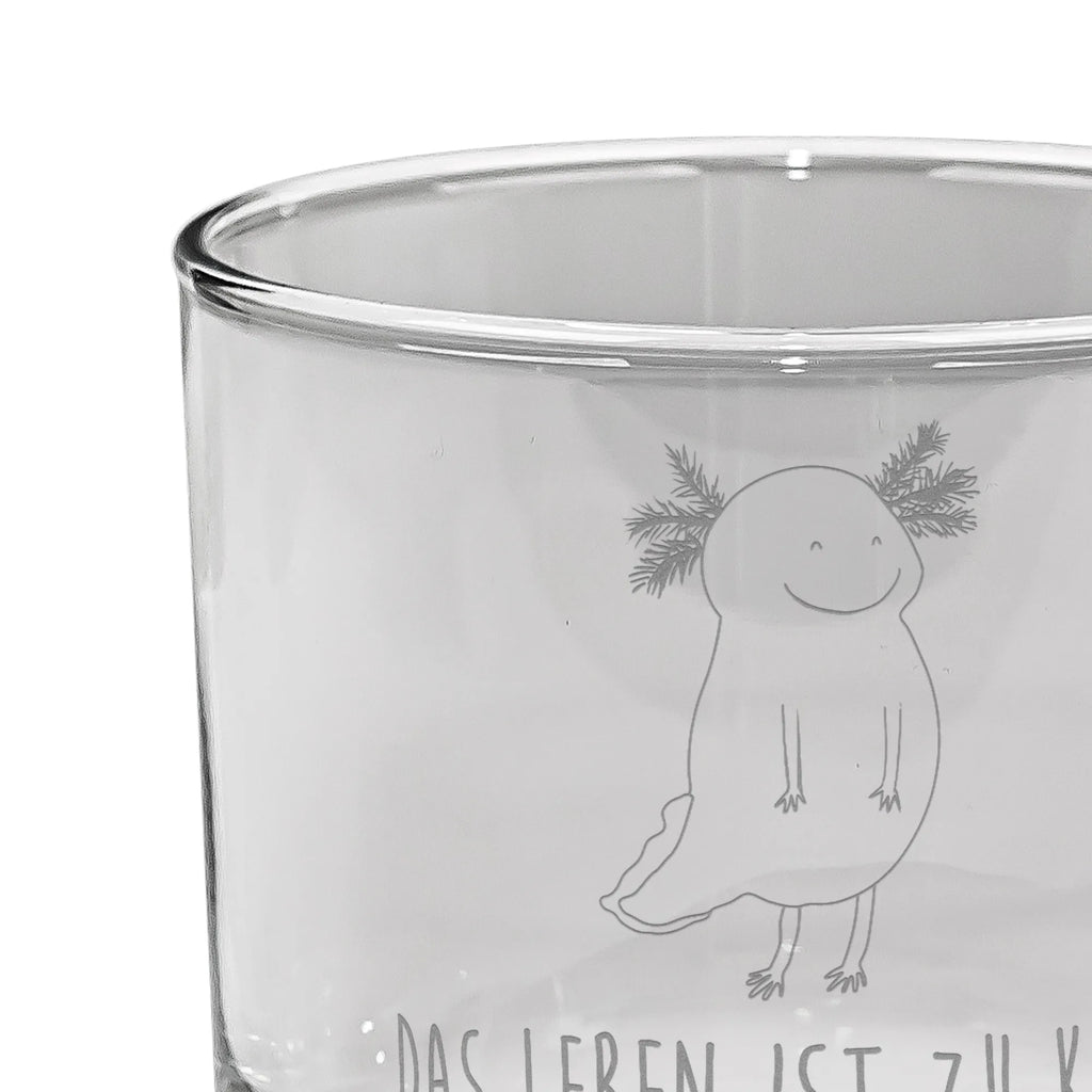 Whiskey Glass axolotl Happy Axolotl, Axelotl, marine animals, Mexican walking fish, salamander, axolotl, axolot, tail, motivation, amphibian, good mood