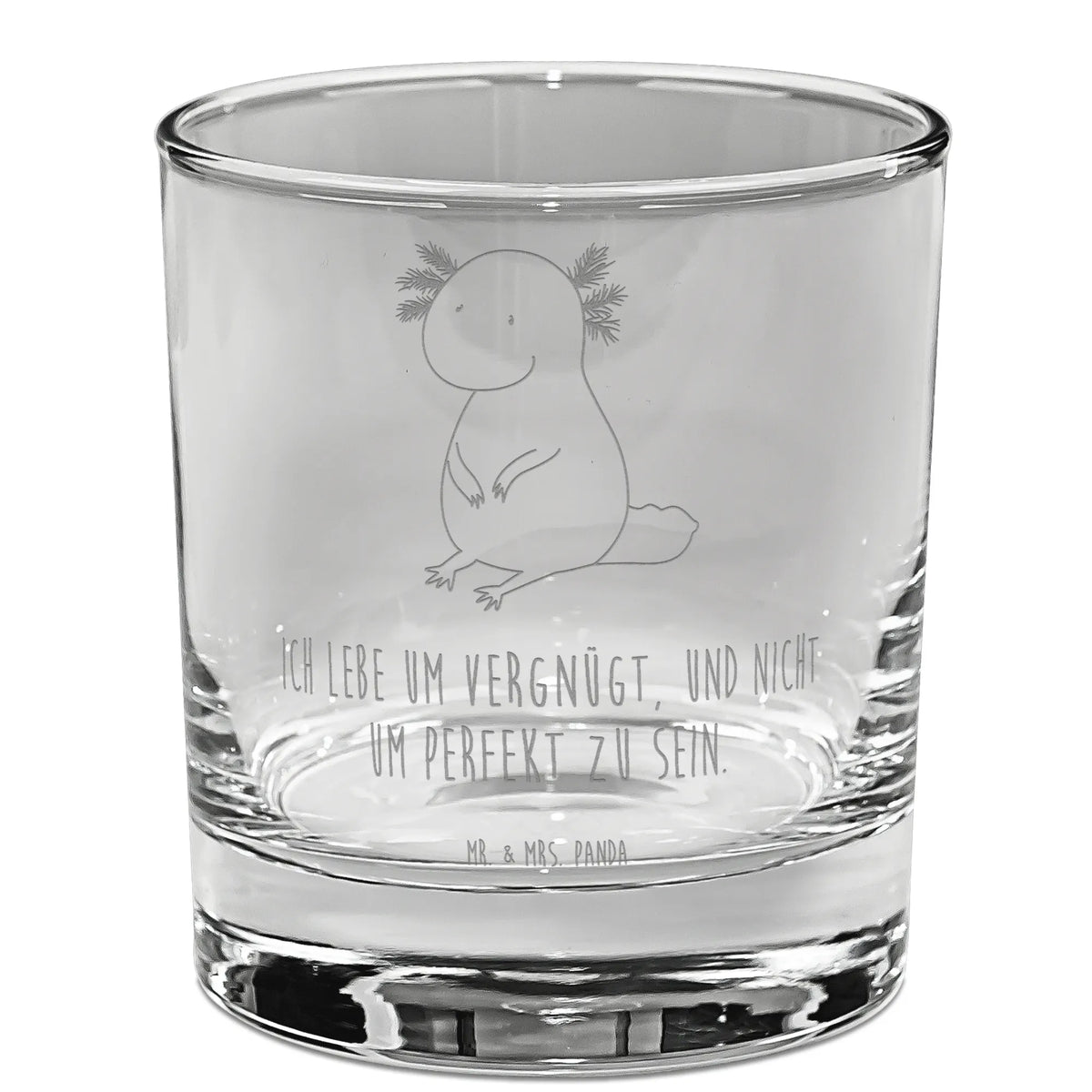 Whiskey Glass axolotl zero Axelotl, marine animals, Mexican walking fish, salamander, contented, lifestyle, girlfriend, cheerful, wisdom, worldly wisdom