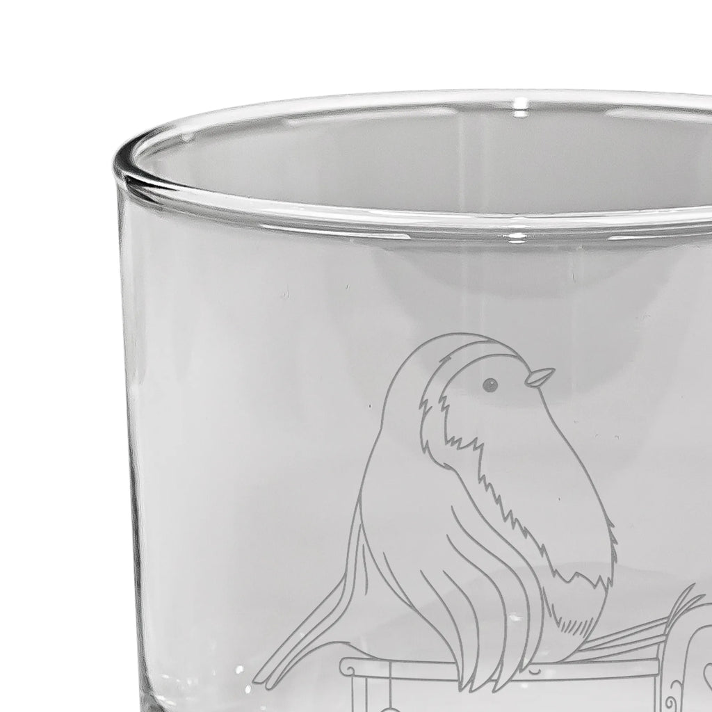 Whiskey Glas Rotkehlchen Schlitten Whiskey Glas mit Sprüchen, Whiskyglas mit Gravur, Whiskeylgas, Edle Whiskygläser, Whisky Gläser, Whiskey Tumbler, Whiskeyglas mit Spruch, Gravur Whiskyglas, Whiskygläser, Whiskey Glas mit Gravur, Whiskey Glas, Winter, Weihnachten, Weihnachtsdeko, Nikolaus, Advent, Heiligabend, Wintermotiv, Schlitten, Vogel