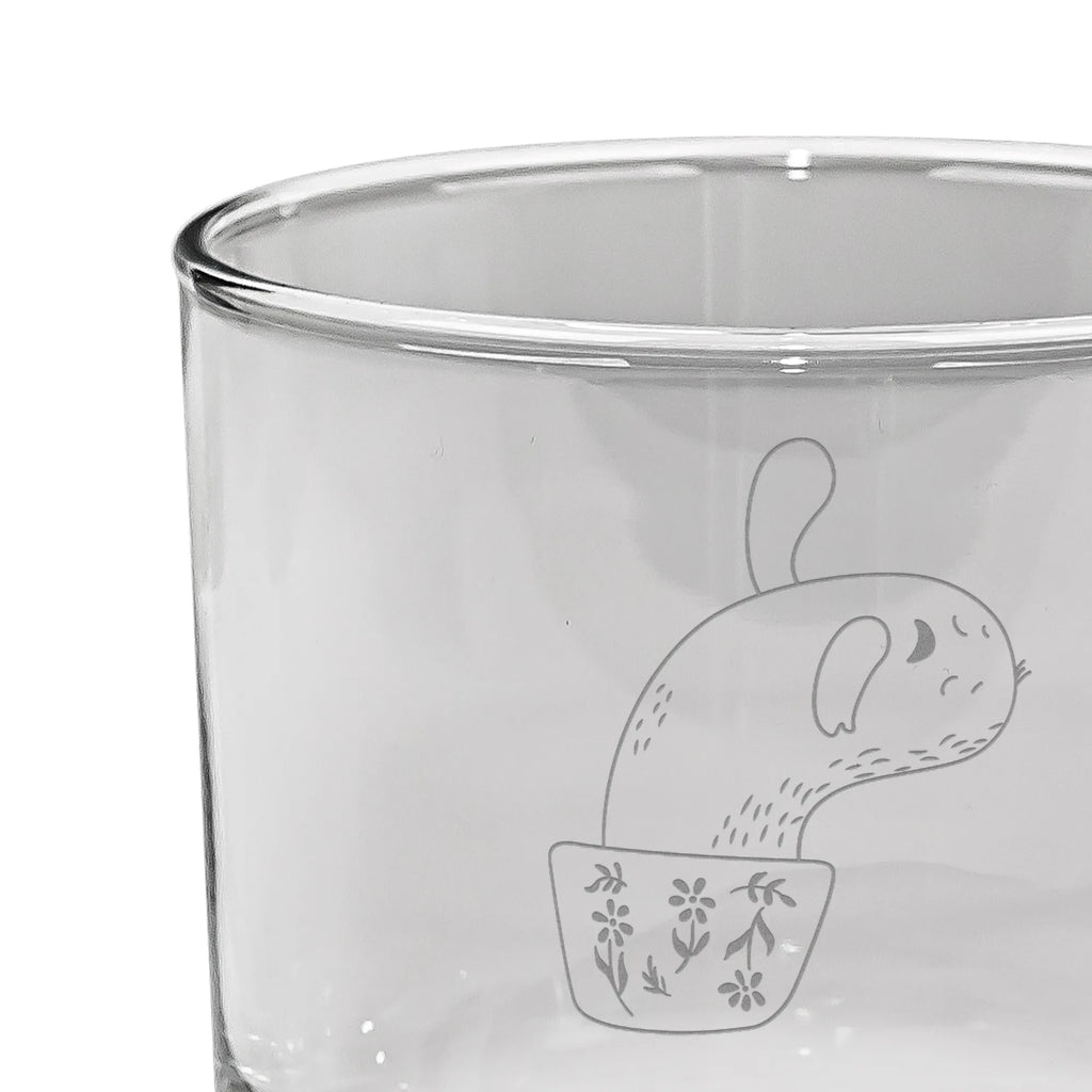 Personalized Whiskey Glass cactus mummy cactus, cactuses, plants, cactus plant, small green cactus, office, annoyance, motivation, office life, cacti, cactus love, school, quota