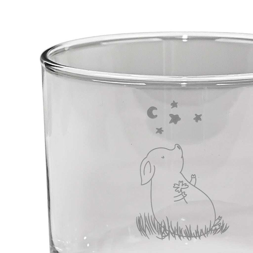 Personalized Whiskey Glass Pig Luck small animals, cute, funny, cute animal motives, hand drawn, small world, funny sayings, good mood, happy, gifts, gift ideas, special gifts, animal lover, card, goals, motivation, stars, Lucky bastard. Luck, pig, piglet, lucky charm, dreams, asterisks