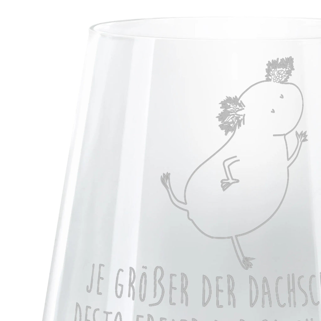 Cocktail Glass axolotl Dance Axolotl, Axelotl, marine animals, Mexican walking fish, salamander, crazy, girlfriend, axolot, amphibians, stars, best friend, roof damage, tailfish