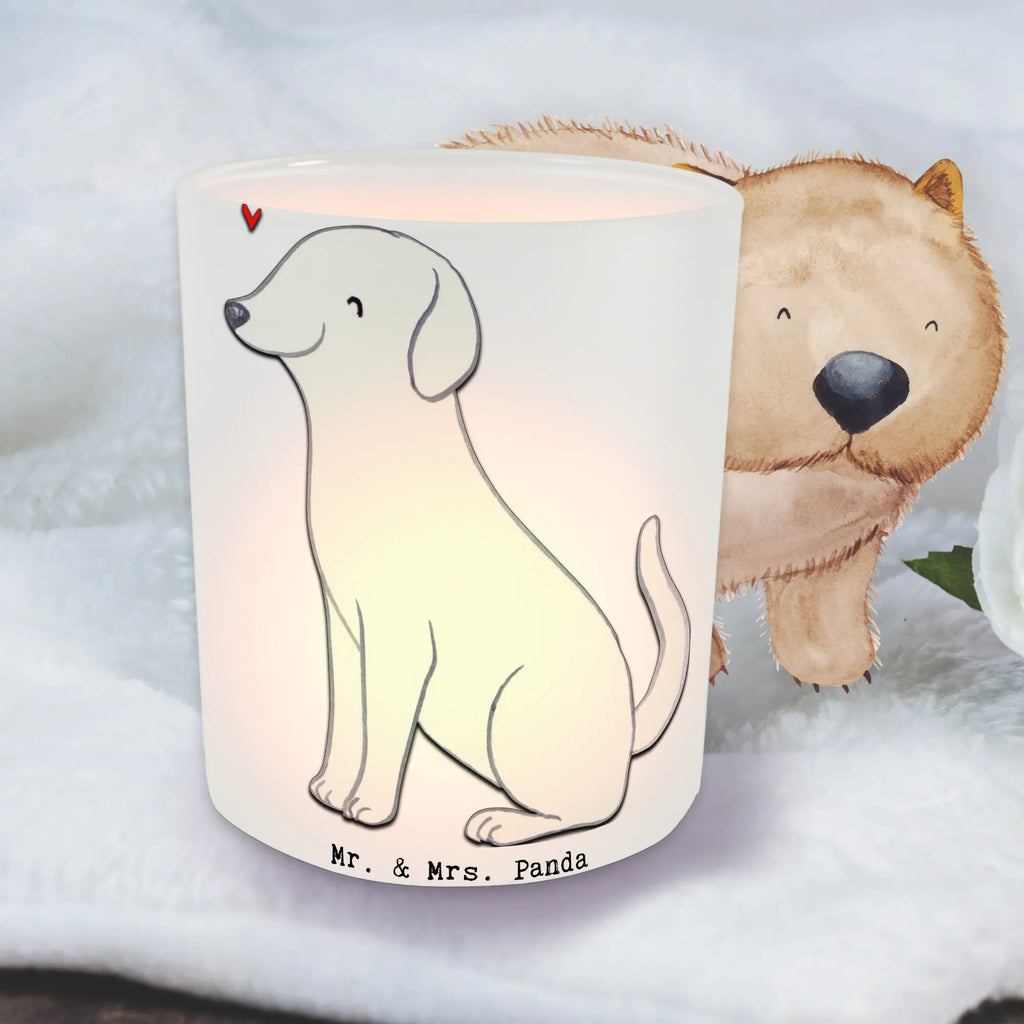 Windlicht Labrador Lebensretter Windlicht Romantisch, Windlicht, Windlicht Glas, Windlicht Wohnzimmer, Windlicht Für Draußen, Windlicht Klein, Windlicht Outdoor, Windlicht Balkon, Windlicht Geschenk, Teelichthalter, Teelichthalter Outdoor, Windlicht Modern, Teelichthalter für draußen, Windlicht Terrasse, Windlicht Vintage, Windlicht Laterne, Windlicht Handgemacht, Windlicht Skandinavisch, Windlicht Groß, Teelicht Glas, Windlicht Draußen, Windlicht Kerzenhalter, Windlicht Boho, Windlicht Garten, Windlicht Nachhaltig, Windlichter, Windlicht Design, Windlicht Dekoration, Hund, Hunderasse, Rassehund, Hundebesitzer, Geschenk, Tierfreund, Schenken, Welpe, Labrador
