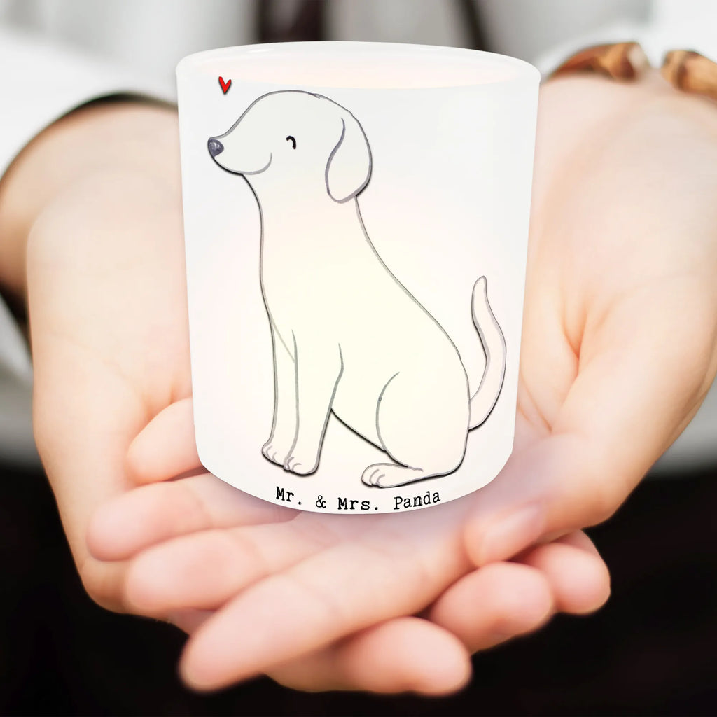 Windlicht Labrador Lebensretter Windlicht Romantisch, Windlicht, Windlicht Glas, Windlicht Wohnzimmer, Windlicht Für Draußen, Windlicht Klein, Windlicht Outdoor, Windlicht Balkon, Windlicht Geschenk, Teelichthalter, Teelichthalter Outdoor, Windlicht Modern, Teelichthalter für draußen, Windlicht Terrasse, Windlicht Vintage, Windlicht Laterne, Windlicht Handgemacht, Windlicht Skandinavisch, Windlicht Groß, Teelicht Glas, Windlicht Draußen, Windlicht Kerzenhalter, Windlicht Boho, Windlicht Garten, Windlicht Nachhaltig, Windlichter, Windlicht Design, Windlicht Dekoration, Hund, Hunderasse, Rassehund, Hundebesitzer, Geschenk, Tierfreund, Schenken, Welpe, Labrador