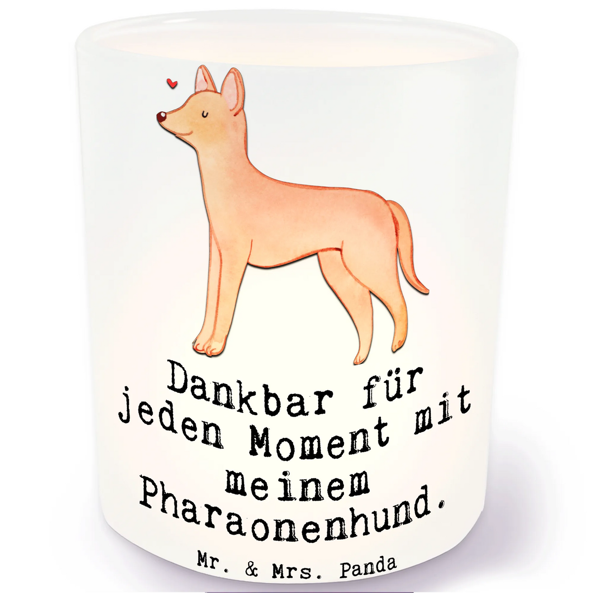 Lantern Pharaoh Hound Moment gift, animal lover, giving, dog breed, purebred dog, dog owner, puppy