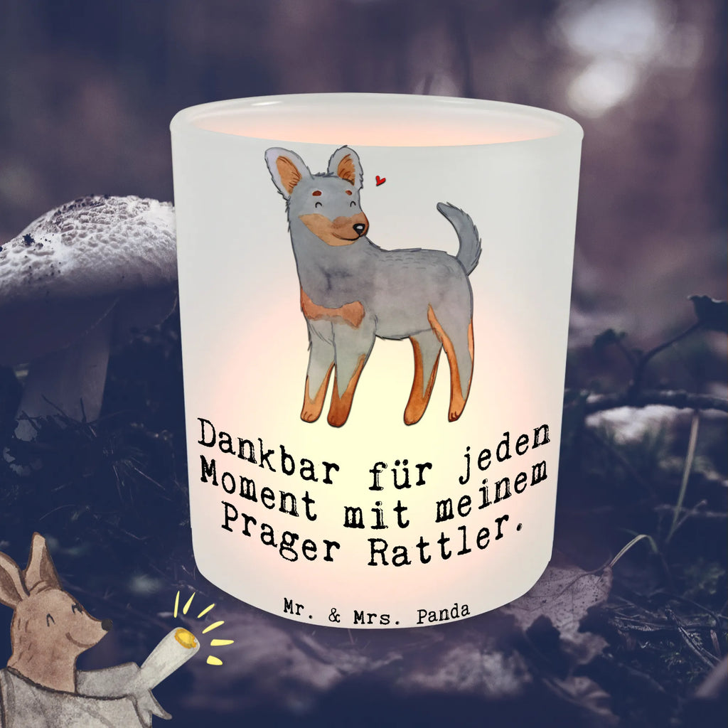 Lantern Prague Rattler moment Windlicht Handgemacht, Teelichthalter für draußen, Windlicht Draußen, Windlicht Vintage, Windlicht Outdoor, Windlichter, Windlicht Garten, Windlicht Balkon, Windlicht Wohnzimmer, Windlicht Boho, Windlicht Groß, Windlicht Für Draußen, Windlicht Glas, Windlicht Modern, Windlicht Kerzenhalter, Windlicht Skandinavisch, Windlicht Nachhaltig, Teelichthalter Outdoor, Windlicht, Windlicht Laterne, Windlicht Design, Windlicht Dekoration, Windlicht Geschenk, Windlicht Klein, Windlicht Terrasse, Windlicht Romantisch, Teelicht Glas, Teelichthalter, Hund, Hunderasse, Rassehund, Hundebesitzer, Geschenk, Tierfreund, Schenken, Welpe, Pincher, Prager Rattler