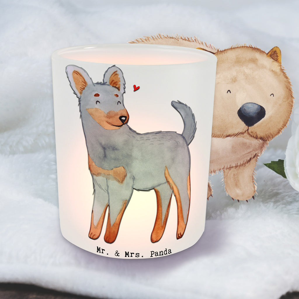 Lantern Prague Rattler moment Windlicht Handgemacht, Teelichthalter für draußen, Windlicht Draußen, Windlicht Vintage, Windlicht Outdoor, Windlichter, Windlicht Garten, Windlicht Balkon, Windlicht Wohnzimmer, Windlicht Boho, Windlicht Groß, Windlicht Für Draußen, Windlicht Glas, Windlicht Modern, Windlicht Kerzenhalter, Windlicht Skandinavisch, Windlicht Nachhaltig, Teelichthalter Outdoor, Windlicht, Windlicht Laterne, Windlicht Design, Windlicht Dekoration, Windlicht Geschenk, Windlicht Klein, Windlicht Terrasse, Windlicht Romantisch, Teelicht Glas, Teelichthalter, Hund, Hunderasse, Rassehund, Hundebesitzer, Geschenk, Tierfreund, Schenken, Welpe, Pincher, Prager Rattler