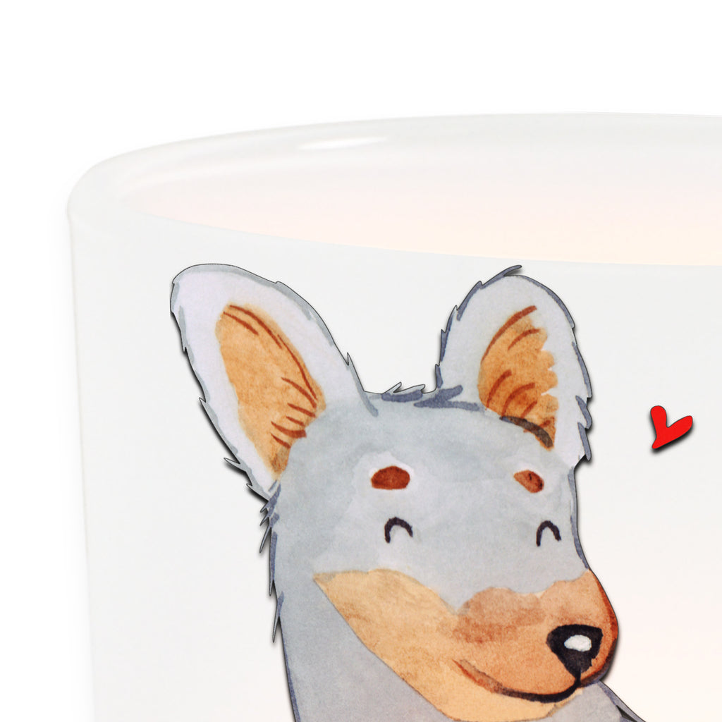 Lantern Prague Rattler moment Windlicht Handgemacht, Teelichthalter für draußen, Windlicht Draußen, Windlicht Vintage, Windlicht Outdoor, Windlichter, Windlicht Garten, Windlicht Balkon, Windlicht Wohnzimmer, Windlicht Boho, Windlicht Groß, Windlicht Für Draußen, Windlicht Glas, Windlicht Modern, Windlicht Kerzenhalter, Windlicht Skandinavisch, Windlicht Nachhaltig, Teelichthalter Outdoor, Windlicht, Windlicht Laterne, Windlicht Design, Windlicht Dekoration, Windlicht Geschenk, Windlicht Klein, Windlicht Terrasse, Windlicht Romantisch, Teelicht Glas, Teelichthalter, Hund, Hunderasse, Rassehund, Hundebesitzer, Geschenk, Tierfreund, Schenken, Welpe, Pincher, Prager Rattler