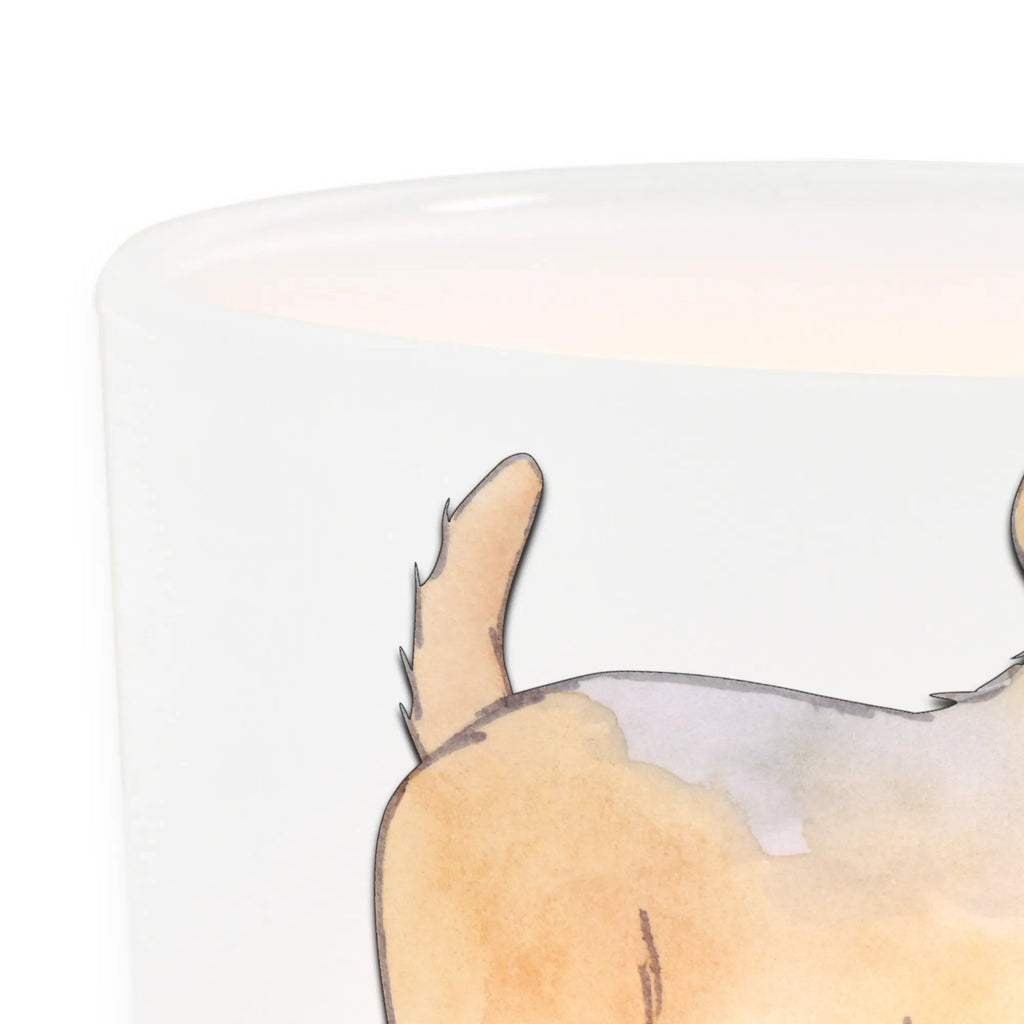 Lantern Border Terrier Moment Windlicht Boho, Windlicht, Windlicht Terrasse, Windlicht Für Draußen, Windlicht Dekoration, Windlicht Garten, Windlicht Wohnzimmer, Windlicht Vintage, Windlicht Skandinavisch, Windlichter, Windlicht Handgemacht, Windlicht Romantisch, Windlicht Kerzenhalter, Windlicht Draußen, Windlicht Nachhaltig, Windlicht Klein, Teelichthalter, Windlicht Laterne, Windlicht Groß, Windlicht Balkon, Teelicht Glas, Teelichthalter Outdoor, Windlicht Outdoor, Windlicht Modern, Windlicht Geschenk, Windlicht Design, Windlicht Glas, Teelichthalter für draußen, Hund, Hunderasse, Rassehund, Hundebesitzer, Geschenk, Tierfreund, Schenken, Welpe, Border Terrier