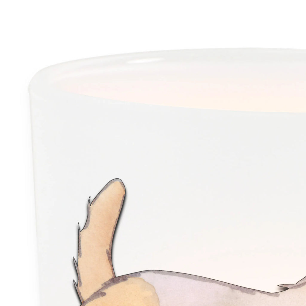 Lantern Border Terrier Moment Windlicht Boho, Windlicht, Windlicht Terrasse, Windlicht Für Draußen, Windlicht Dekoration, Windlicht Garten, Windlicht Wohnzimmer, Windlicht Vintage, Windlicht Skandinavisch, Windlichter, Windlicht Handgemacht, Windlicht Romantisch, Windlicht Kerzenhalter, Windlicht Draußen, Windlicht Nachhaltig, Windlicht Klein, Teelichthalter, Windlicht Laterne, Windlicht Groß, Windlicht Balkon, Teelicht Glas, Teelichthalter Outdoor, Windlicht Outdoor, Windlicht Modern, Windlicht Geschenk, Windlicht Design, Windlicht Glas, Teelichthalter für draußen, Hund, Hunderasse, Rassehund, Hundebesitzer, Geschenk, Tierfreund, Schenken, Welpe, Border Terrier