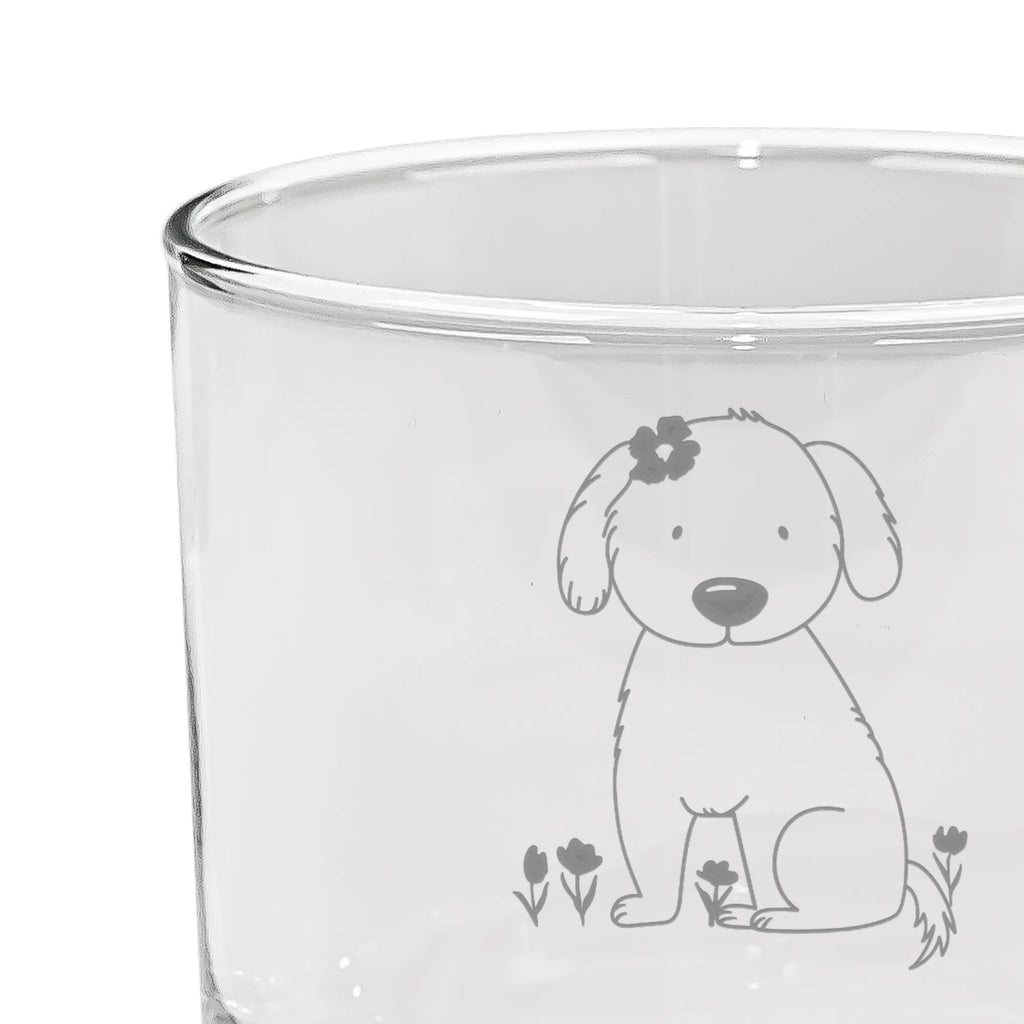 Personalisiertes Gin Glas Hund Dame Cocktailglas Für Gin Mit Namen, Personalisiertes Gin Glas, Klassisches Gin Glas Mit Namen, Gin-Copa Glas Mit Stiel Und Namensgravur, Dünnwandiges Gin Glas Mit Namensgravur, Gin Glas Mit Gravurfläche Für Namen, Premium Gin Glas Mit Namen, Handgeschliffenes Gin Glas Mit Namensgravur, Dickwandiges Gin Glas Mit Namen, Gin Glas Für Zuhause Mit Wunschname, Gin-Ballon Glas Mit Wunschname, Longdrinkglas Mit Wunschname, Gin Glas Für Bar Mit Namen, Gin Glas Geschenkidee Mit Namensgravur, Spülmaschinenfestes Gin Glas Mit Wunschname, Gin-Glas Set Mit Namen, Vintage Gin Glas Mit Wunschname, Gin & Tonic Glas Mit Namensgravur, Gin Glas Mit Namensgravur, Rundes Gin Glas Mit Namen, Gin Glas Für Tasting Mit Wunschname, Kristall Gin Glas Mit Namensgravur, Gin Glas Für Cocktailabend Mit Namen, Tumbler Glas Mit Namen, Gin-Tumbler Mit Namen, Gin-Glas Ohne Stiel Mit Wunschname, Designer Gin Glas Mit Wunschname, Gin Glas Für Party Mit Namensgravur, Balloon Glas Mit Wunschname, Großes Gin Glas Mit Wunschname, Gin Glas 500 ml Mit Namensgravur, Gin-Gläser Set Mit Wunschname, Modernes Gin Glas Mit Namensgravur, Gin-Copa Mit Namensgravur, Gin-Glas Mit Stiel Und Namen, Hund, Hundemotiv, Haustier, Hunderasse, Tierliebhaber, Hundebesitzer, Sprüche, Hunde, Hundeglück, Liebe, Hundeliebe, Frauchen