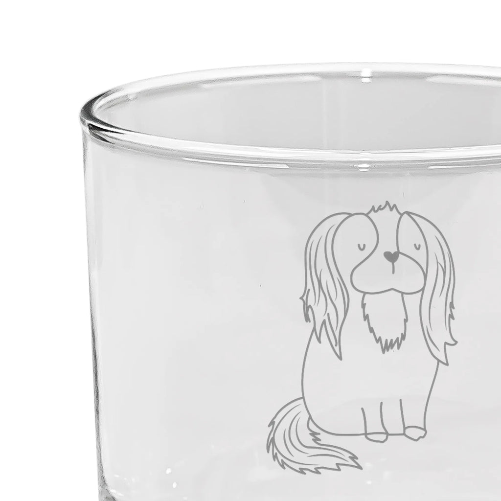 Personalizowana szklanka do ginu pies Cavalier King Charles Spaniel Pies, motyw psa, zwierzę domowe, rasa psa, miłośnik zwierząt, właściciel psa, powiedzenia