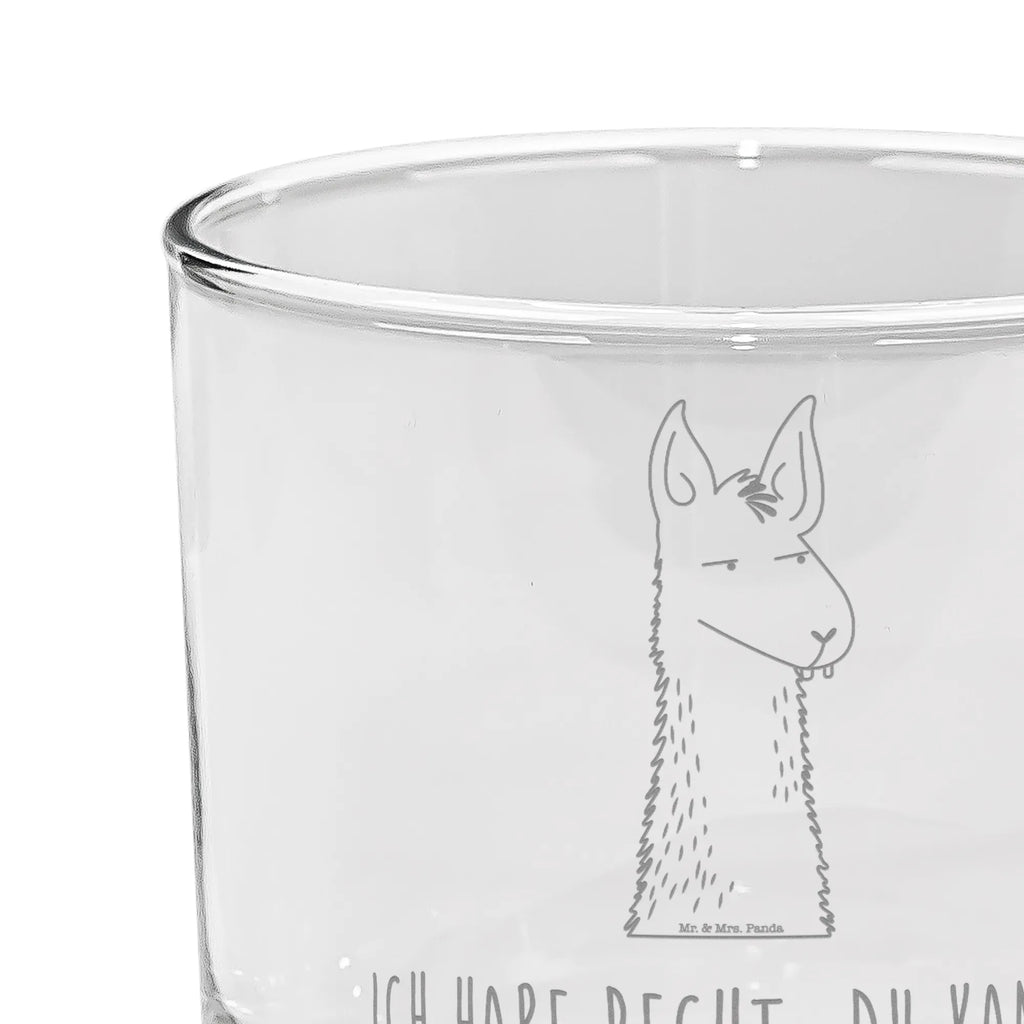 Szklanka do ginu głowa lamy zirytowany Lama, Alpaka