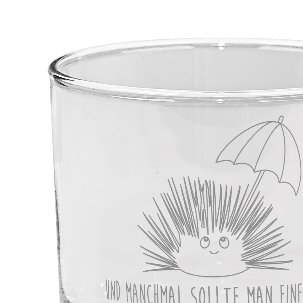 Szklanka do ginu Jeżowiec Zwierzeta morskie, Morze, Wakacje