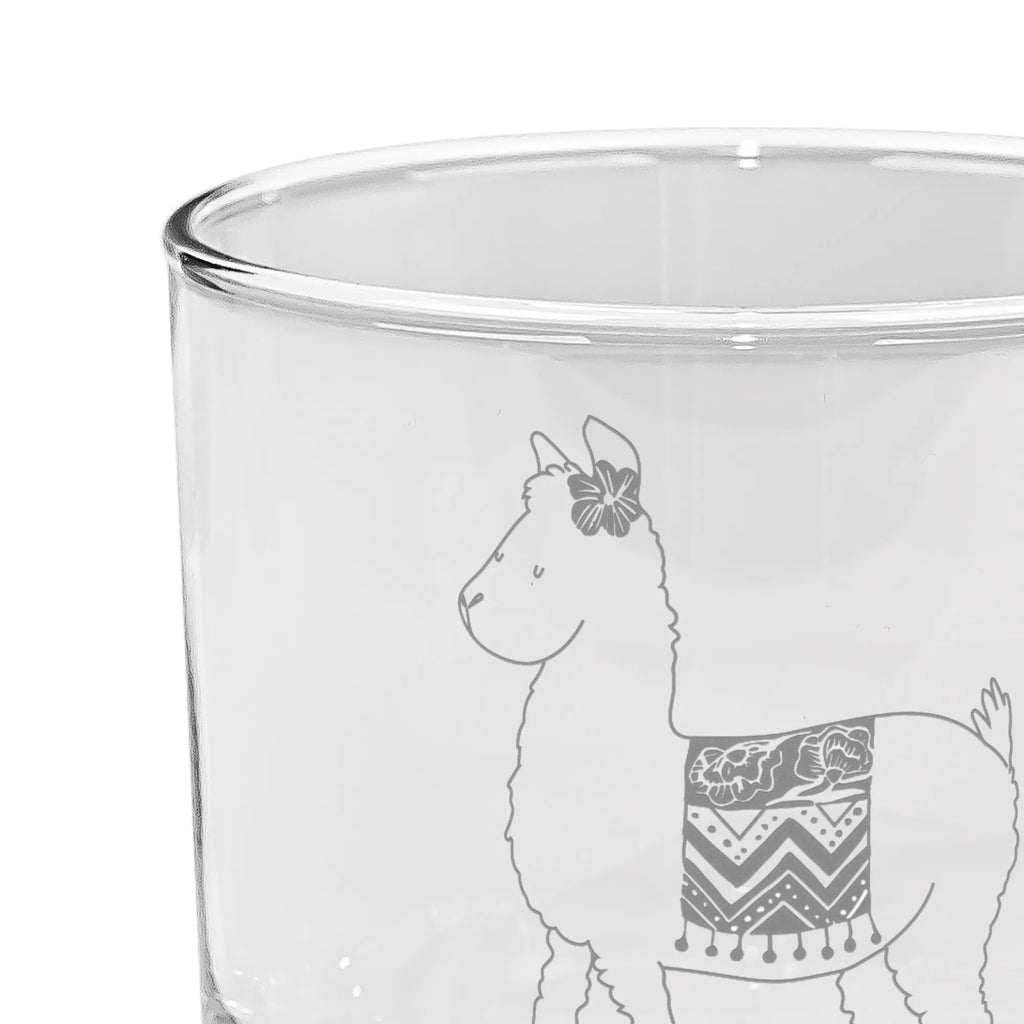 gin glass alpaca Proud alpaca, llama, pako, camel, Peru, animal, favourite animal