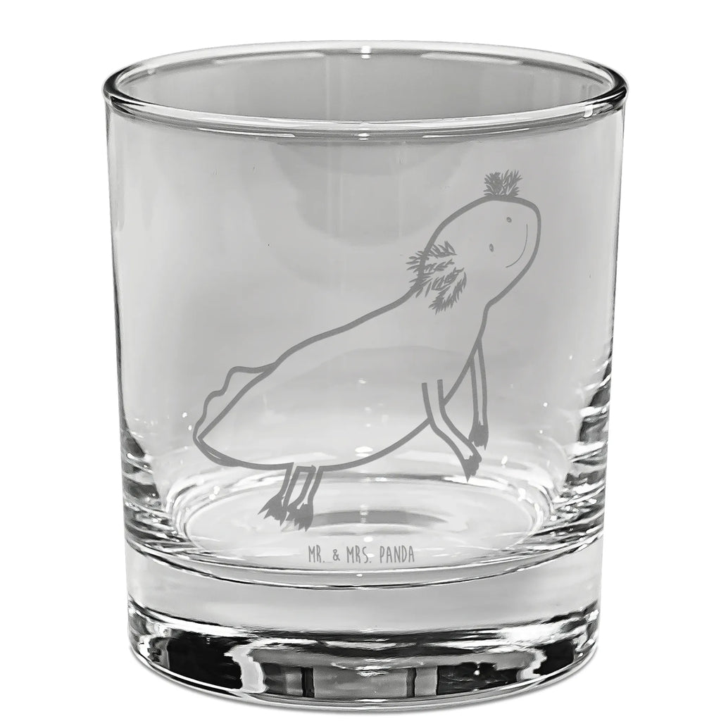 gin glass axolotl To swim Axolotl, Axelotl, marine animals, Mexican walking fish, salamander, amphibians, tail, problems, motivation, problem, axolot, solutions