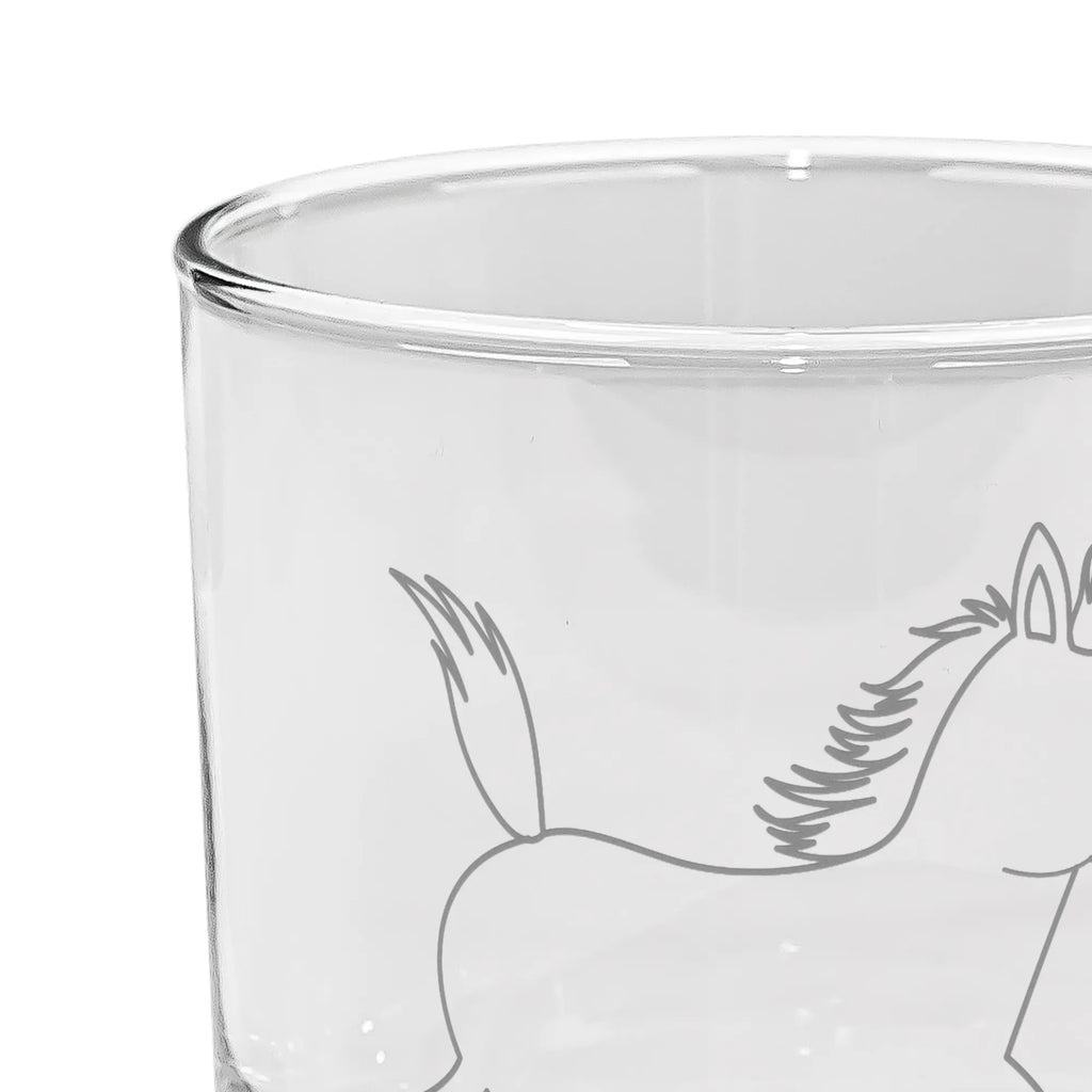 gin glass Horse Jump farm, farm animals, animals, horse stable, horses, pony, riding, horse, riding out, horse owner, stable