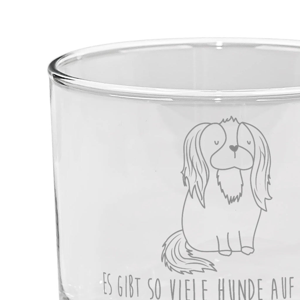 Gin Glas Hund Cavalier King Charles Spaniel Ballonglas, Rundes Gin Glas, Gin Glas Geschenkidee, Gin Glas Mit Gravurbereiter Fläche, Spülmaschinenfestes Gin Glas, Gin-Tumbler, Balloon Glas, Gin-Ballon Glas, Gin-Copa Glas Mit Stiel, Gin Glas, Fassungsvermögen 500 ml Gin Glas, Gin-Glas Set, Tumbler Glas, Kristallklar Gin Glas, Großes Gin Glas, Gin Glas Für Zuhause, Gin Glas Für Party, Gin Glas Für Tasting, Handgeschliffenes Gin Glas, Gin Glas Für Bar, Gin-Glas Ohne Stiel, Gin Glas Für Cocktailabend, Designer Gin Glas, Klassisches Gin Glas, Dickwandiges Gin Glas, Kristall Gin Glas, Dünnwandiges Gin Glas, Glas Für Gin, Vintage Gin Glas, Cocktailglas Für Gin, Gin-Copa, Premium Gin Glas, Gin-Gläser Set, Gin-Glas Mit Stiel, Gin & Tonic Glas, Gin-Glas Premiumqualität, Modernes Gin Glas, Longdrinkglas, Gin-Ballon Glas Mit Henkel, Hund, Hundemotiv, Haustier, Hunderasse, Tierliebhaber, Hundebesitzer, Sprüche, Cockerspaniel, Spruch, Cavalier King Charles Spaniel, Spaniel, schönster Hund