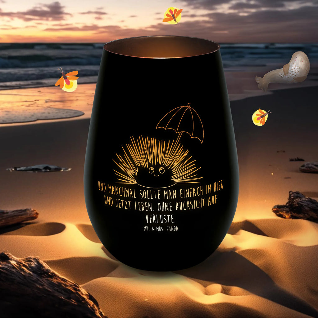 Gold Lantern Sea urchins Seafood, aquatic animals, ocean, sea, fish, shells, corals, reef, whale, narwhal, sea urchin, lobster, platypus, turtle, manatee, crocodile, orca, shrimp, gifts for seafood lovers, water world, underwater animals, underwater world, vacation, deep sea, seafood fans, gift ideas, seafood decoration, seafood posters, life, self-acceptance, self-love, sea urchins, here and now, mindfulness, living