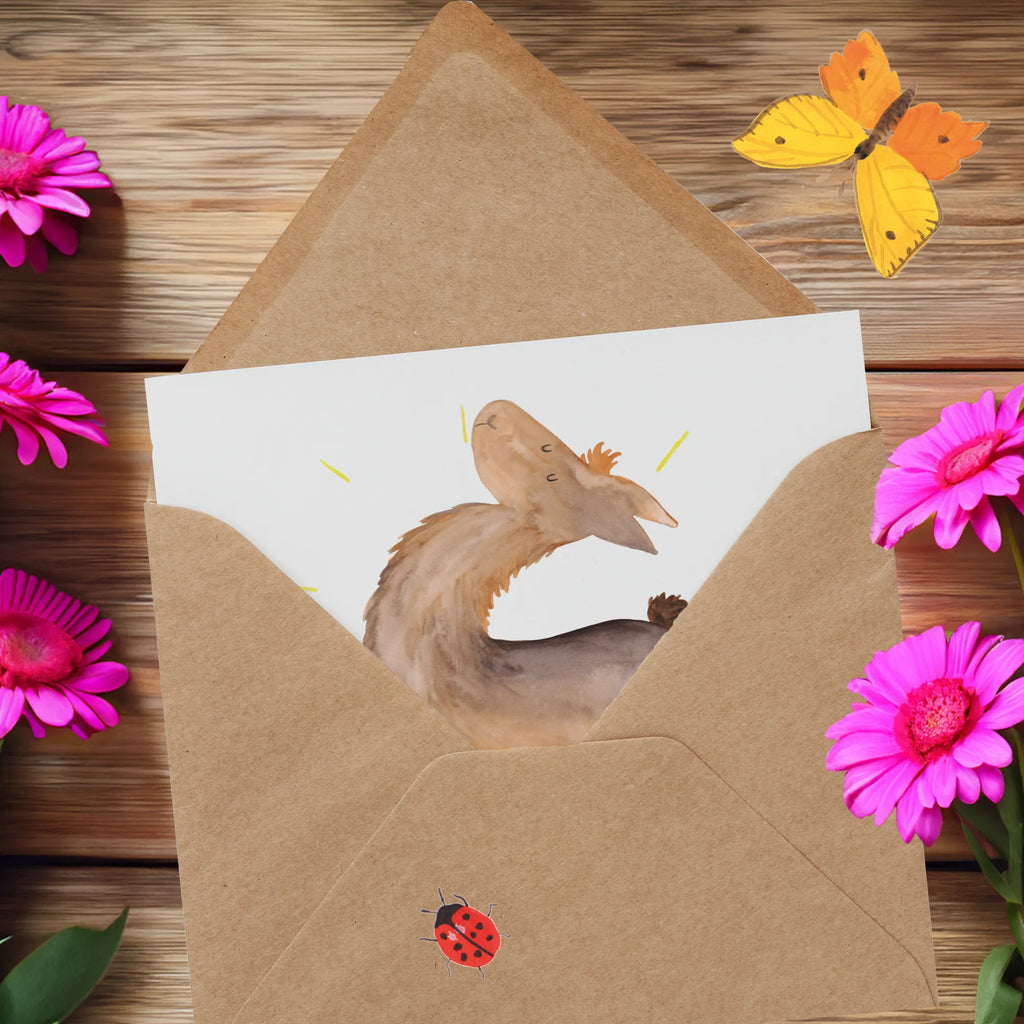 Deluxe Karte Lama Stolz doppelkarte, Glückwunschkarte, faltkarte, Klappkarte, anlasskarte, Grußkarte, Lama, Alpaka, Kumpel, Family, Außenseiter, Freundin, Hippie, Lamas, Beste Freundin, Anders, Neustart, Familie, Stolz, Freundinnen