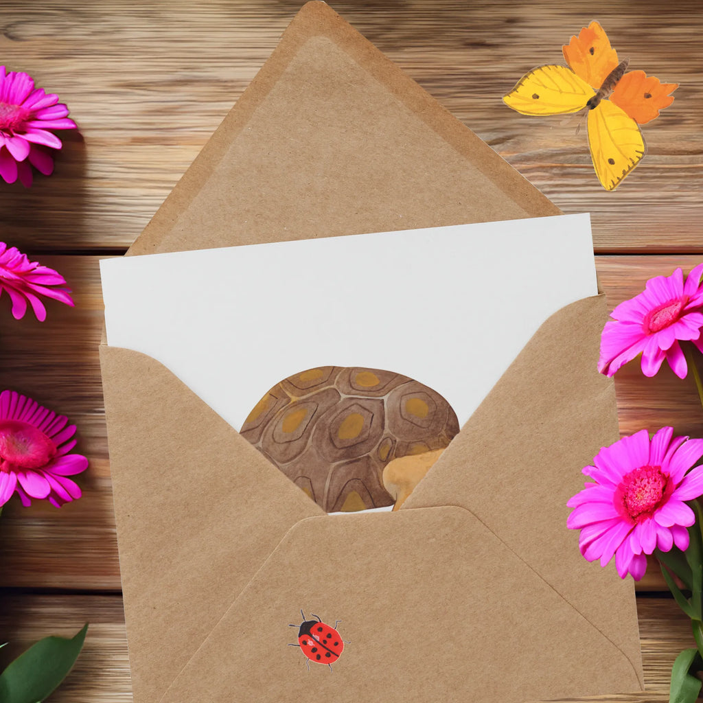 Deluxe Karte Schildkröte Marschieren Glückwunschkarte, Karte, Hochwertige Grußkarte, Klappkarte, Geburtstagskarte, Grußkarte, Hochzeitskarte, Hochwertige Klappkarte, Einladungskarte, Meerestiere, Meer, Urlaub, Schildkröte, Lieblingsmensch, get lost, Inspiration, Schildkröten, Reiselust, Neustart, Abenteuer, Motivation