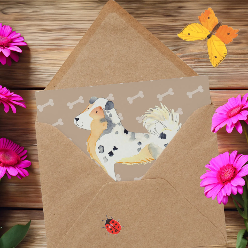 Deluxe Card Dog Australia Shepherd Geburtstagskarte, Klappkarte, Hochwertige Klappkarte, Grußkarte, Glückwunschkarte, Karte, Einladungskarte, Hochzeitskarte, Hochwertige Grußkarte, Hund, Hundemotiv, Haustier, Hunderasse, Tierliebhaber, Hundebesitzer, Sprüche, Shepherd, Familienhund, Australien Shepherd, Hundeliebe, Spruch