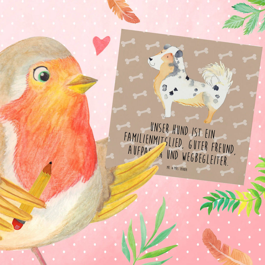 Deluxe Card Dog Australia Shepherd Geburtstagskarte, Klappkarte, Hochwertige Klappkarte, Grußkarte, Glückwunschkarte, Karte, Einladungskarte, Hochzeitskarte, Hochwertige Grußkarte, Hund, Hundemotiv, Haustier, Hunderasse, Tierliebhaber, Hundebesitzer, Sprüche, Shepherd, Familienhund, Australien Shepherd, Hundeliebe, Spruch