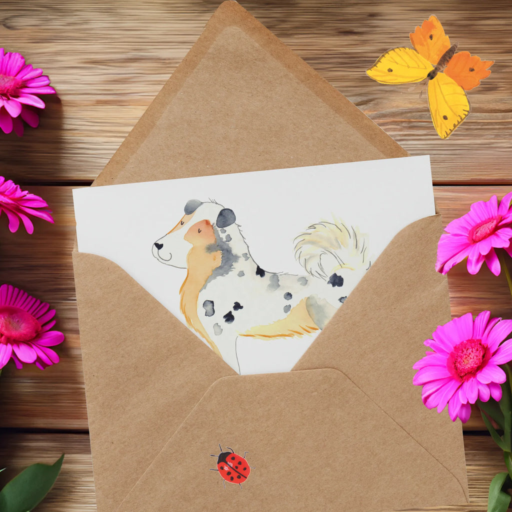 Deluxe Card Dog Australia Shepherd Geburtstagskarte, Klappkarte, Hochwertige Klappkarte, Grußkarte, Glückwunschkarte, Karte, Einladungskarte, Hochzeitskarte, Hochwertige Grußkarte, Hund, Hundemotiv, Haustier, Hunderasse, Tierliebhaber, Hundebesitzer, Sprüche, Shepherd, Familienhund, Australien Shepherd, Hundeliebe, Spruch