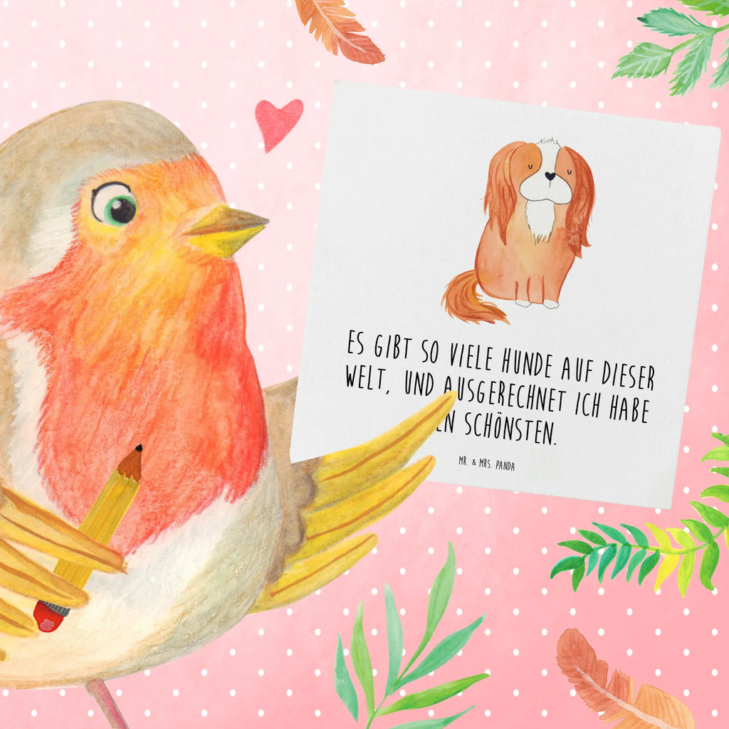 Deluxe Karte Hund Cavalier King Charles Spaniel Hochwertige Grußkarte, Einladungskarte, Karte, Hochwertige Klappkarte, Geburtstagskarte, Glückwunschkarte, Grußkarte, Klappkarte, Hochzeitskarte, Hund, Hundemotiv, Haustier, Hunderasse, Tierliebhaber, Hundebesitzer, Sprüche, Cavalier King Charles Spaniel, schönster Hund, Spaniel, Cockerspaniel, Spruch