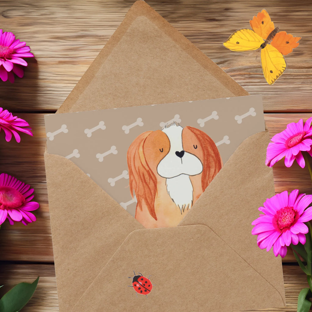 Deluxe Karte Hund Cavalier King Charles Spaniel Hochwertige Grußkarte, Einladungskarte, Karte, Hochwertige Klappkarte, Geburtstagskarte, Glückwunschkarte, Grußkarte, Klappkarte, Hochzeitskarte, Hund, Hundemotiv, Haustier, Hunderasse, Tierliebhaber, Hundebesitzer, Sprüche, Cavalier King Charles Spaniel, schönster Hund, Spaniel, Cockerspaniel, Spruch