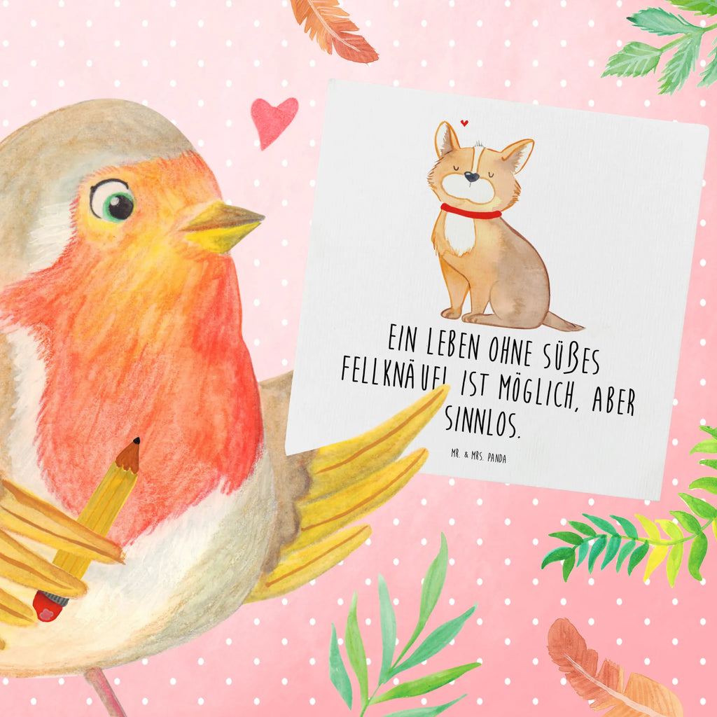 Deluxe Card Dog Luck Karte, Einladungskarte, Geburtstagskarte, Hochwertige Klappkarte, Hochwertige Grußkarte, Grußkarte, Glückwunschkarte, Klappkarte, Hochzeitskarte, Hund, Hundemotiv, Haustier, Hunderasse, Tierliebhaber, Hundebesitzer, Sprüche, Liebe, Spruch, Hundeliebe, Corgie, Hundemama