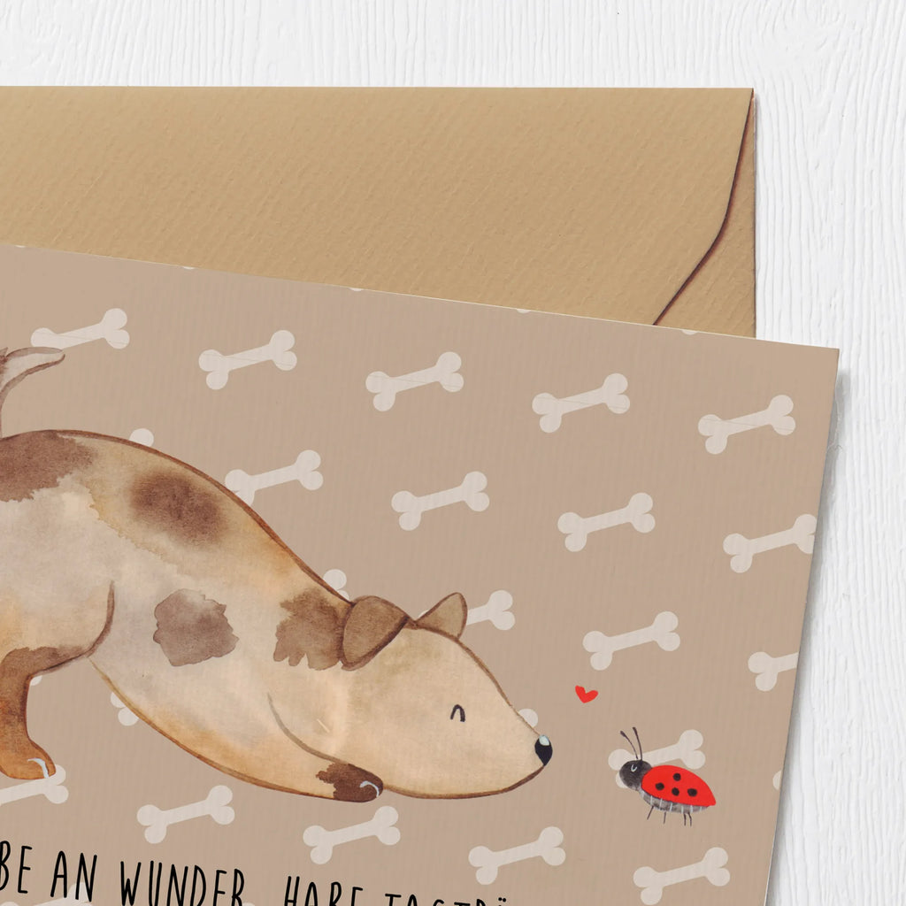 Deluxe Card Dog ladybug Hochzeitskarte, Hochwertige Klappkarte, Hochwertige Grußkarte, Klappkarte, Einladungskarte, Karte, Geburtstagskarte, Glückwunschkarte, Grußkarte, Hund, Hundemotiv, Haustier, Hunderasse, Tierliebhaber, Hundebesitzer, Sprüche, Marienkäfer, Mischlinghund, Hundespruch, Hunde, Mischling