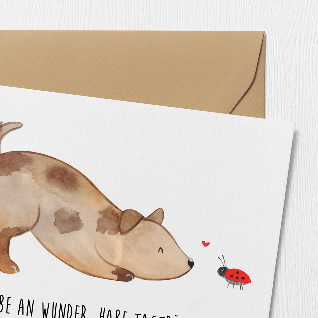 Deluxe Card Dog ladybug Hochzeitskarte, Hochwertige Klappkarte, Hochwertige Grußkarte, Klappkarte, Einladungskarte, Karte, Geburtstagskarte, Glückwunschkarte, Grußkarte, Hund, Hundemotiv, Haustier, Hunderasse, Tierliebhaber, Hundebesitzer, Sprüche, Marienkäfer, Mischlinghund, Hundespruch, Hunde, Mischling