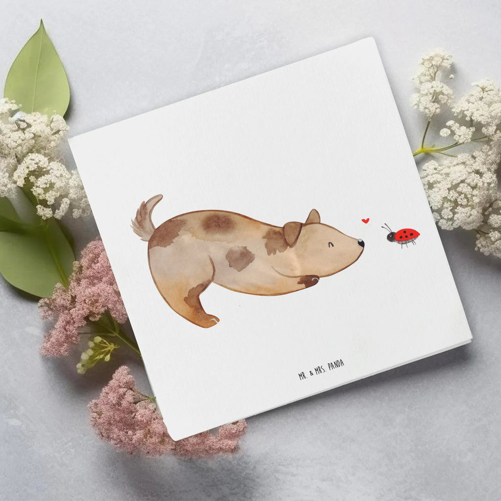 Deluxe Card Dog ladybug Hochzeitskarte, Hochwertige Klappkarte, Hochwertige Grußkarte, Klappkarte, Einladungskarte, Karte, Geburtstagskarte, Glückwunschkarte, Grußkarte, Hund, Hundemotiv, Haustier, Hunderasse, Tierliebhaber, Hundebesitzer, Sprüche, Marienkäfer, Mischlinghund, Hundespruch, Hunde, Mischling